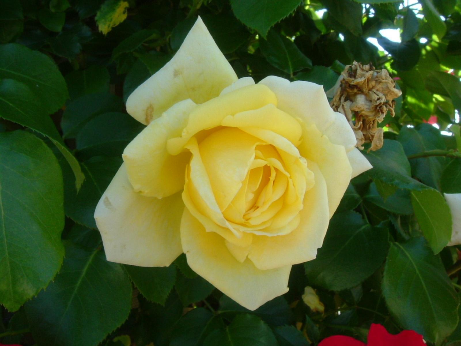 ����å�����ȳ���ɽ�����ޤ�